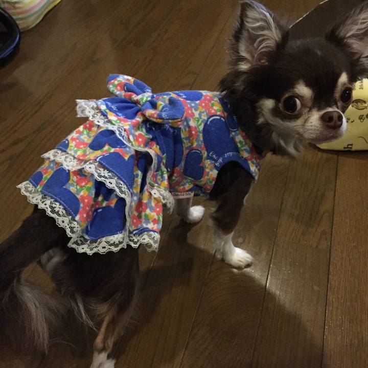 E4c08903 833d 4408 8868 e709f2d48dc2