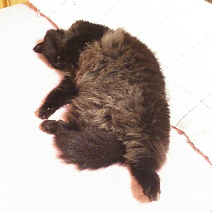 E4c0bb93 6260 4dea 8bd7 16e45ea2ba75