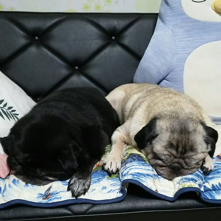 E4c0fb60 b260 4865 973a ef3418305288