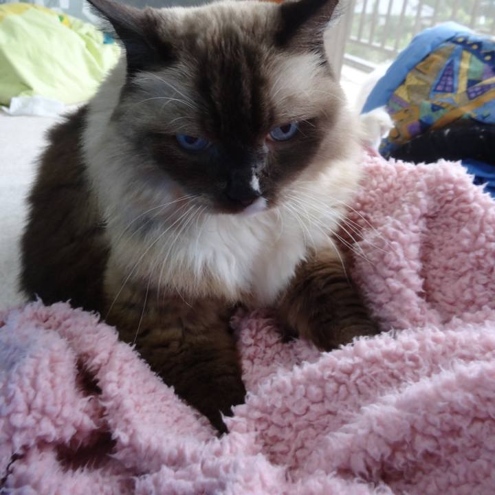 E4c17042 f370 4fae 8597 af3fc9eea1e6