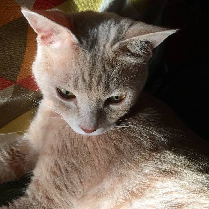 E4c180d6 3bba 45c0 bc97 a82cbc7aefba