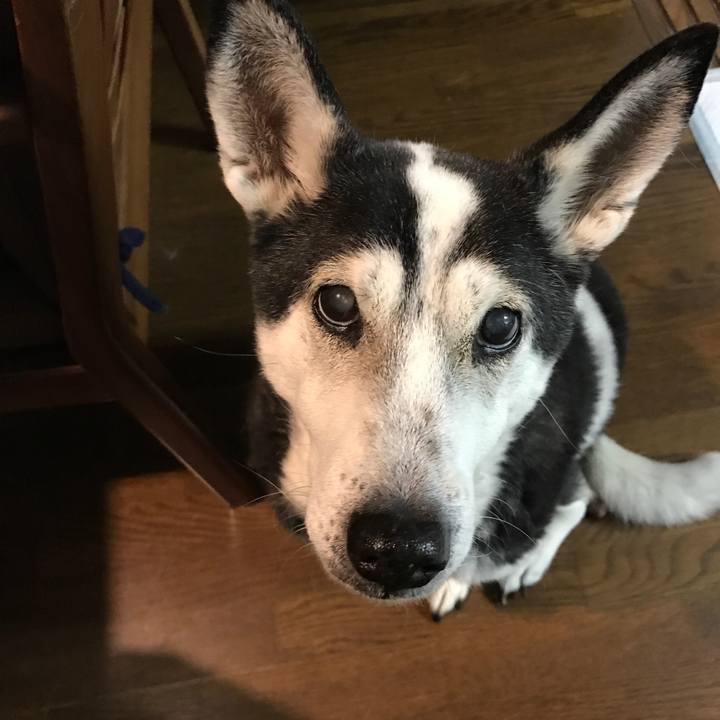 E4c186ab 7701 416b ab30 2a904abe21cf