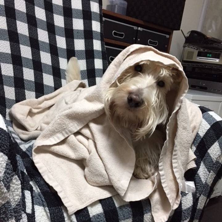 E4c1aa83 f737 4da6 9bee ab17f8f09d79