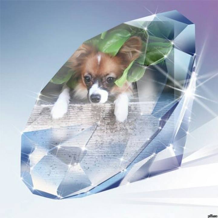 E4c1c6f4 2699 46f2 8a72 bf154e4e4c4d