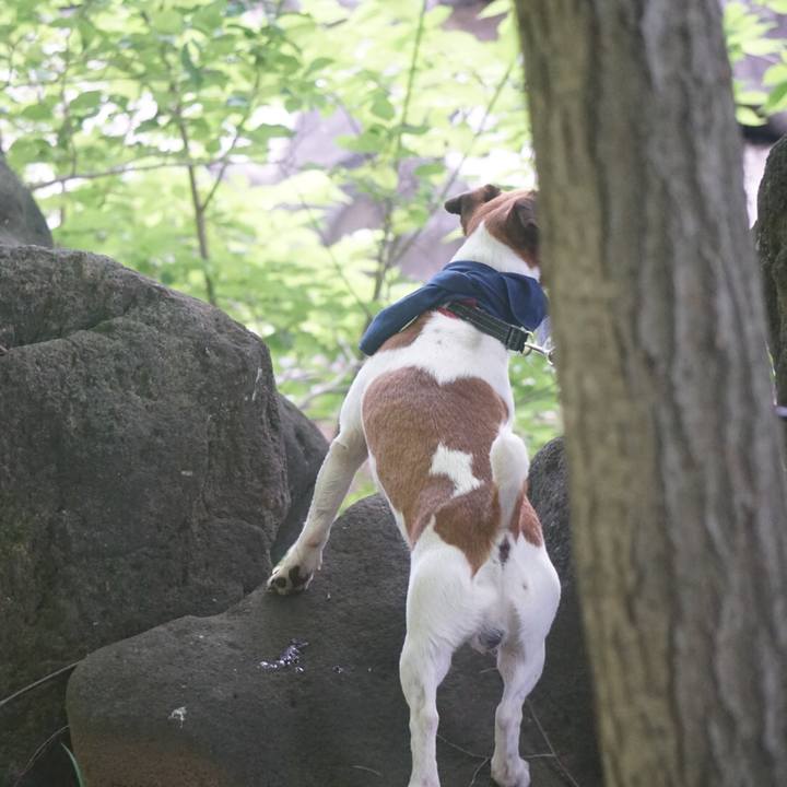 E4c1d8c5 73f5 4f17 a095 25f719ad38ae