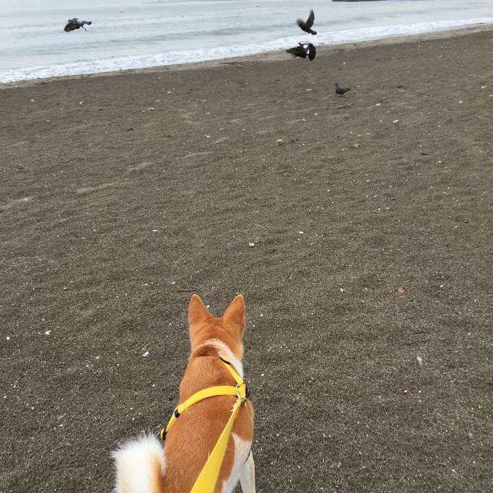 E4c2a0e9 d992 4052 8e0f d5e4ab8ae6b5