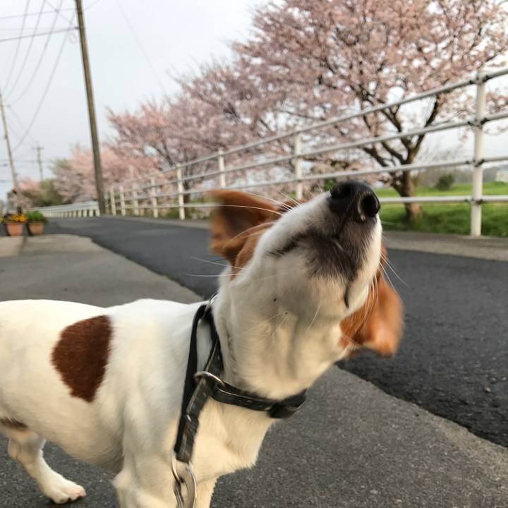 E4c31e96 f2e7 4158 ab7f 28467af0acb3