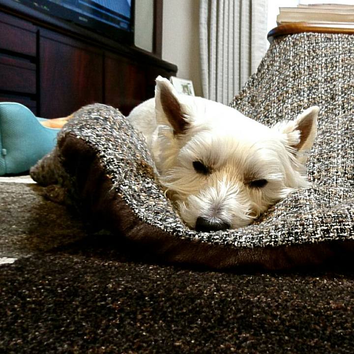 E4c35b70 9bcd 4181 a79e be9a98dfb54e