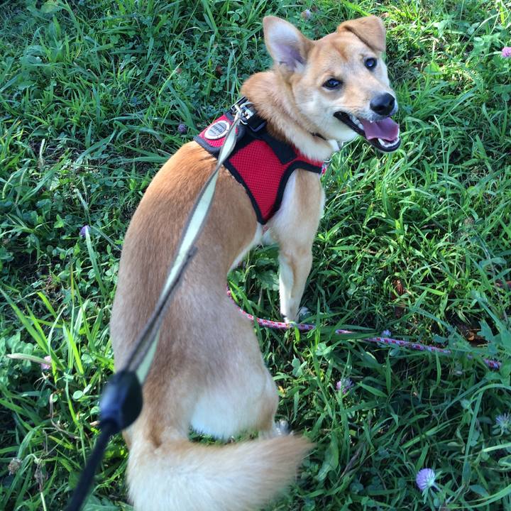 E4c3d71c 36c5 44e2 827f bda0fb13edd9