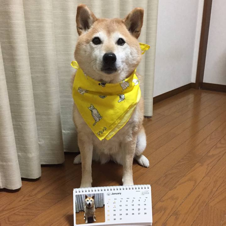 E4c44b51 101a 4308 9913 0280964bb9b1