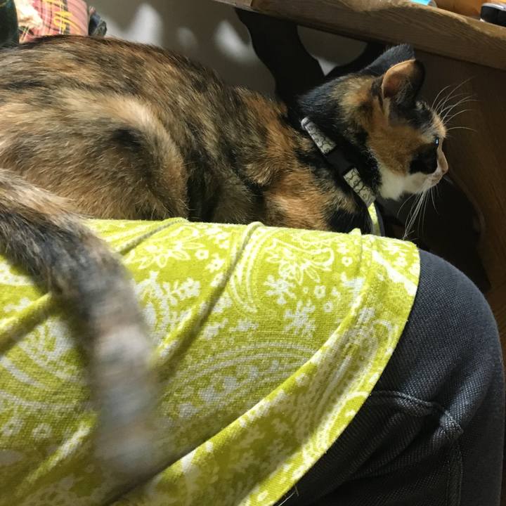 E4c44e6f c7b4 42ab 9a50 08c3400afe8b