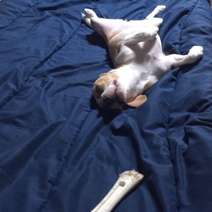 E4c465b3 1e98 4239 8aac 62c364fba592