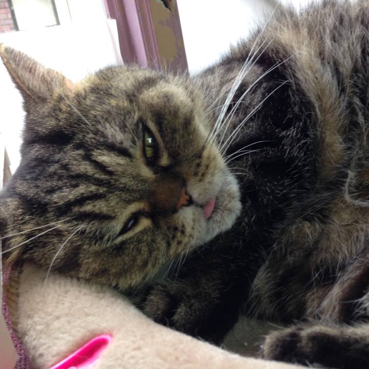 E4c4dca9 5b25 45fb 849f 39c299860108