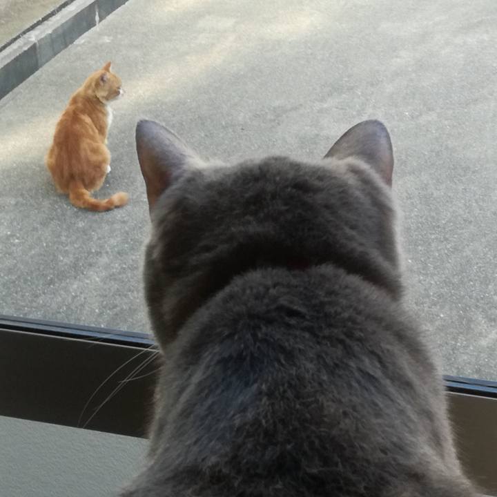 E4c6121b e437 4629 8a29 d745449fd25e