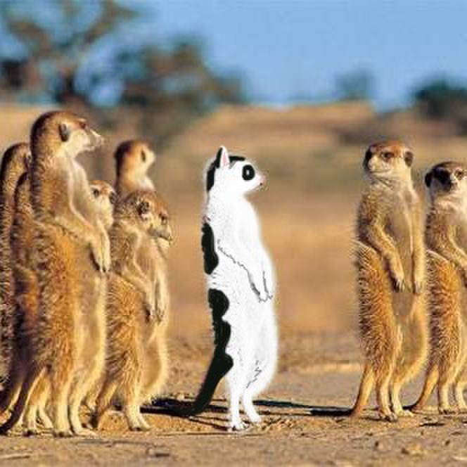 E4c648e5 aaa8 4684 bd00 a324cbd8aea0