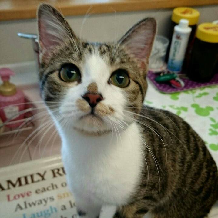 E4c6b71c 9ae0 49b5 9357 678a6718c1f9