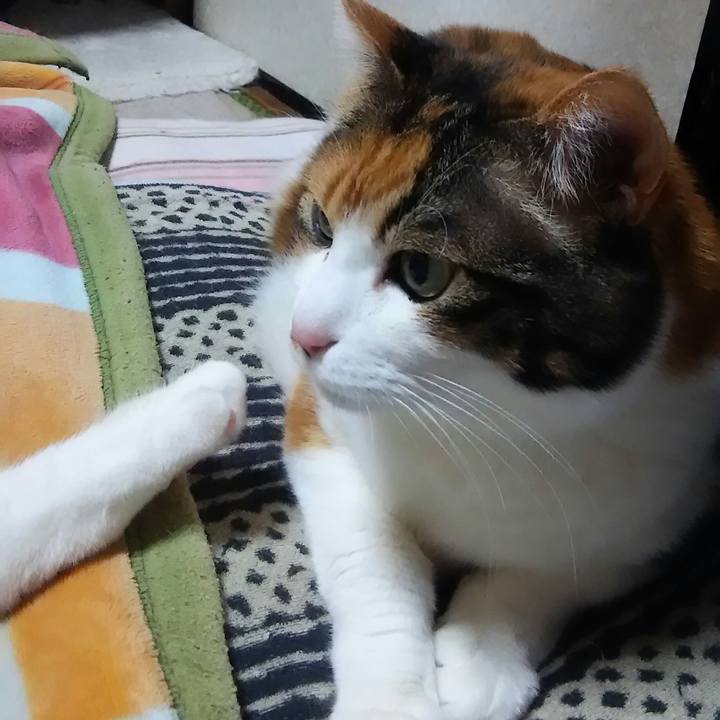 E4c6d08c f8b4 4111 bf80 a1bdd8de7573