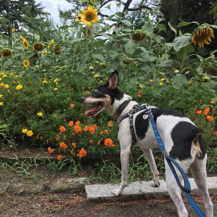 E4c6d87f 3228 4205 9a3a a661d7035bd3