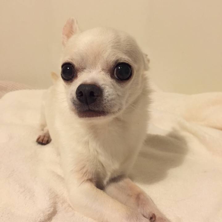 E4c6f00a 9808 4467 8115 37f830e20cdd