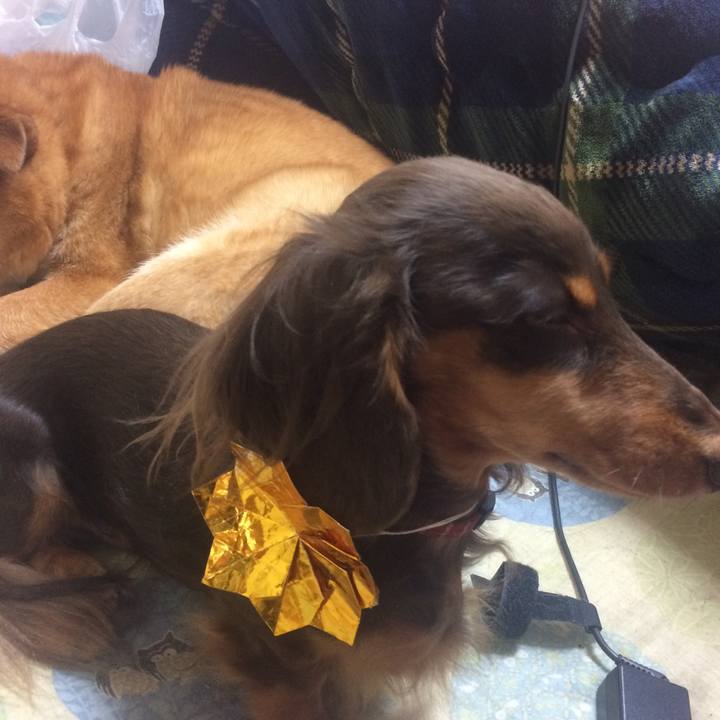 E4c71ceb be43 4c89 bd9b 0bafbf423cf0