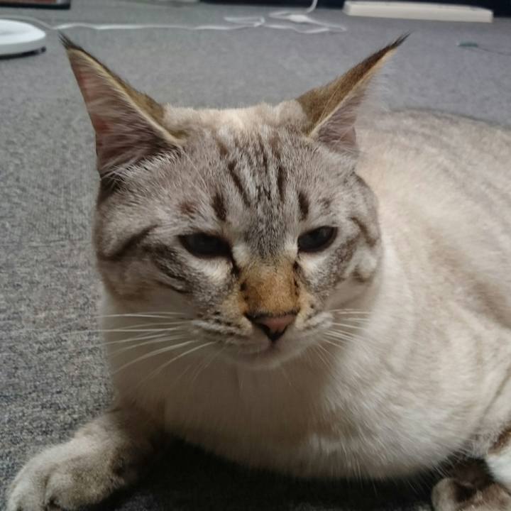 E4c77349 243c 4372 8238 2539b83648fb