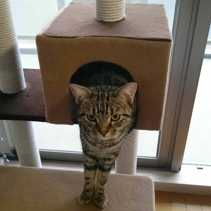 E4c7e797 3631 4ae2 aaef bc2acaa2d59d