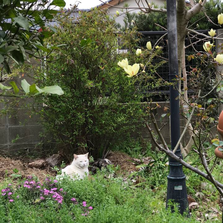 E4c85973 8026 493d 8f08 d92b63cffcdb