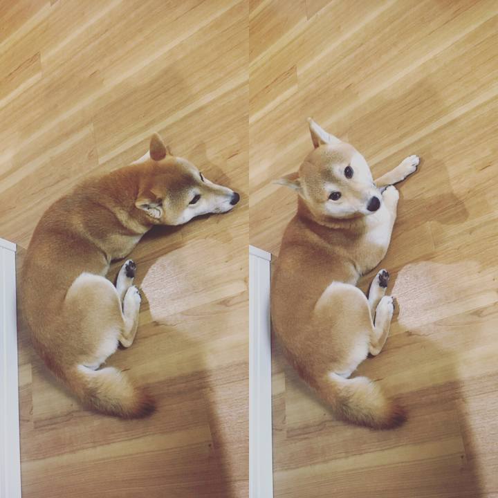 E4c863b1 25da 4555 b855 4fb0be1a714a