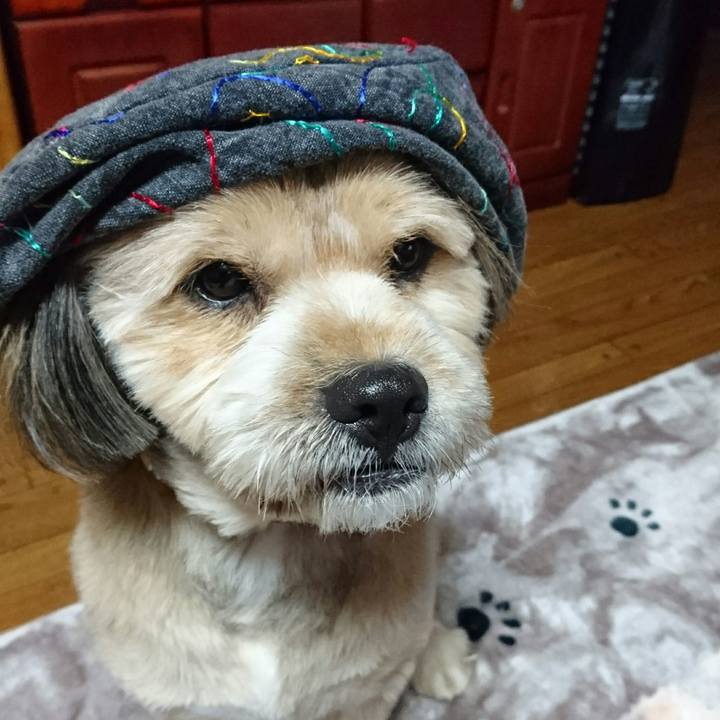 E4c93958 c289 4071 b046 61122d2ee749