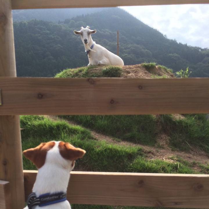 E4ca102e 773e 4201 8bc8 30b2706d1a38