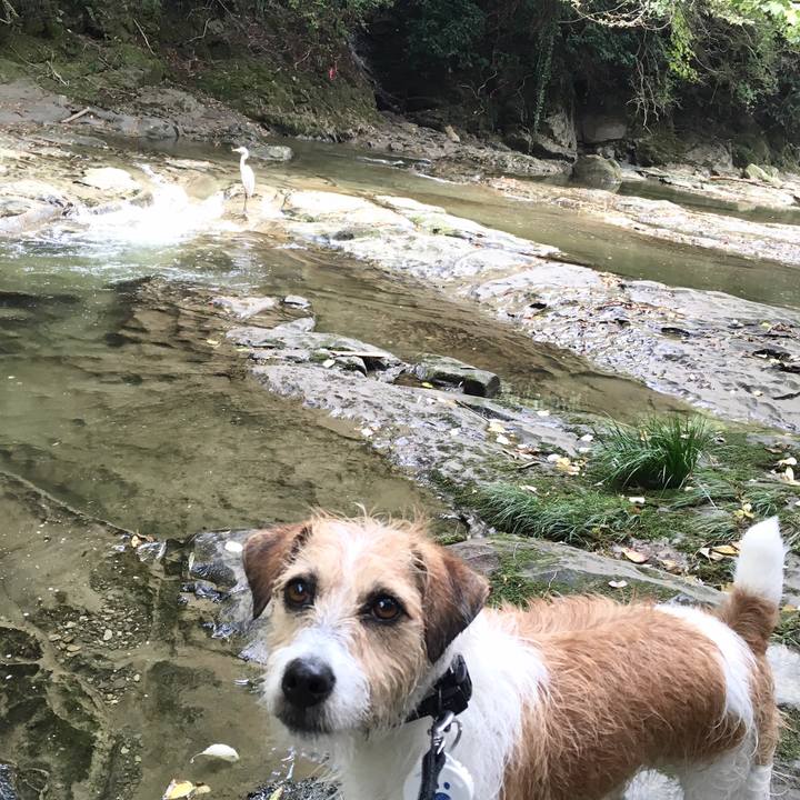 E4ca4871 5d6d 4cda b01f b6f35bde562c