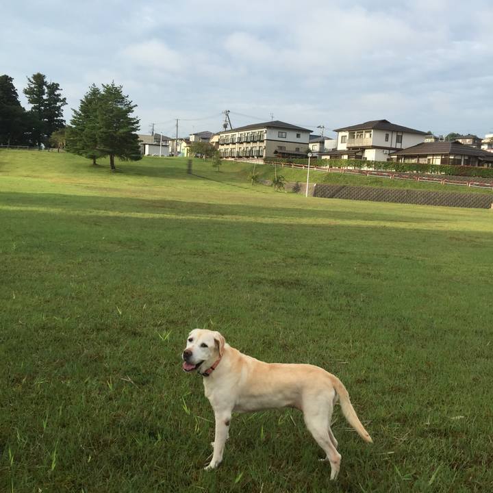 E4ca9a04 0e84 49bc a4e3 d0a7020994f5