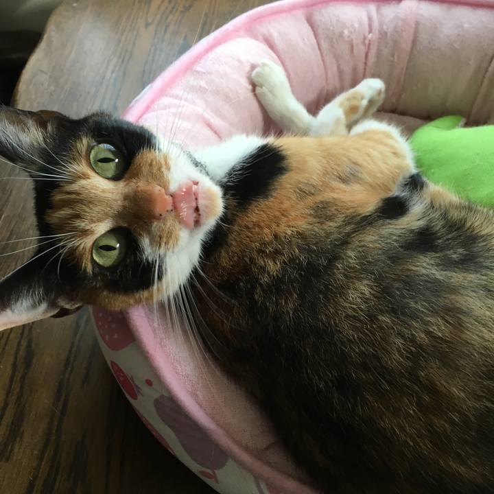 E4cabd6b 50ce 45bd ab33 3fbb2a0c4cc5