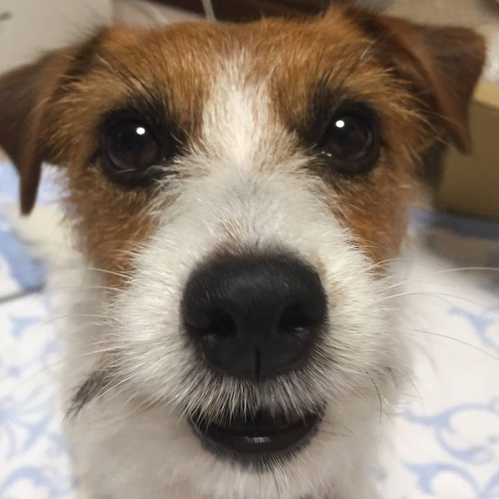 E4cad786 4819 4e20 9a2c fbc1d136d9e9