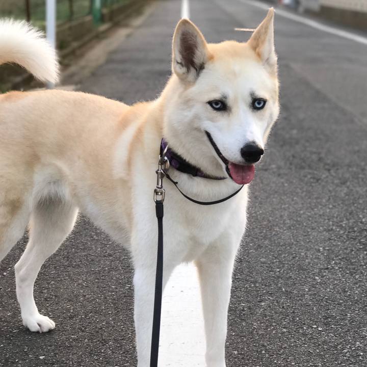 E4cae42d 7536 47c7 9ce5 4d98c83976a6