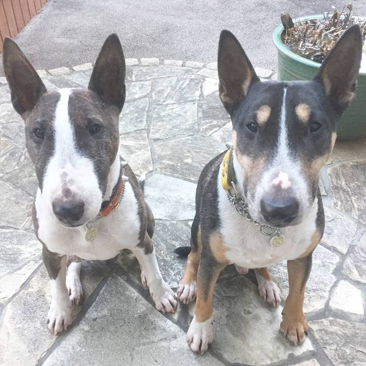 E4cb1df5 aae8 468c 977c 1310c4d57f69