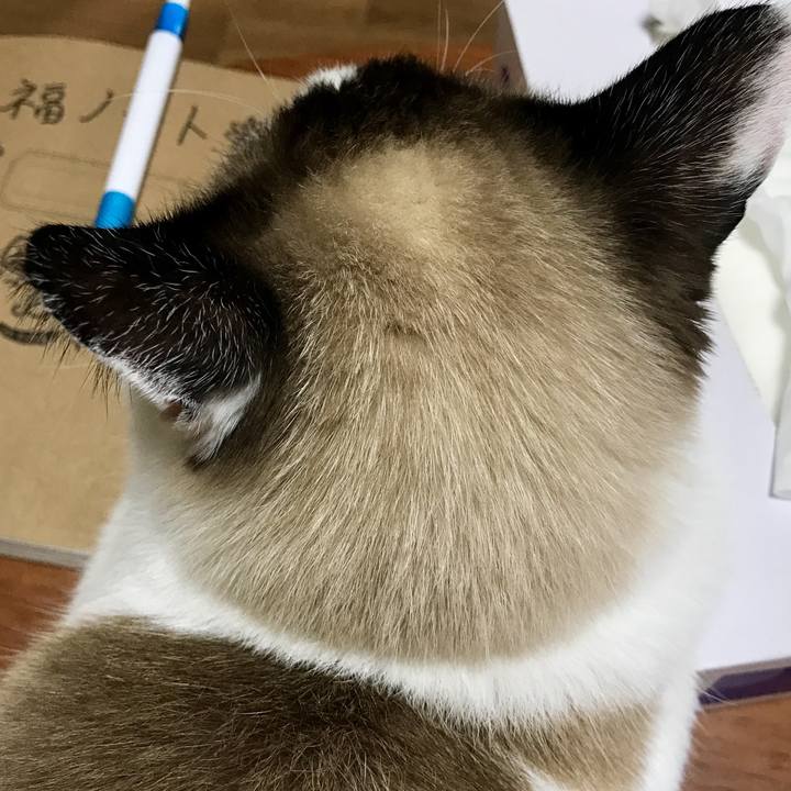 E4cbfd8f 1fa2 4ccb 97aa 8544b1ffc1e3