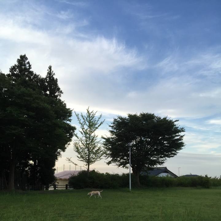 E4cd0dee 884f 4b17 829f b90b6220c5bc