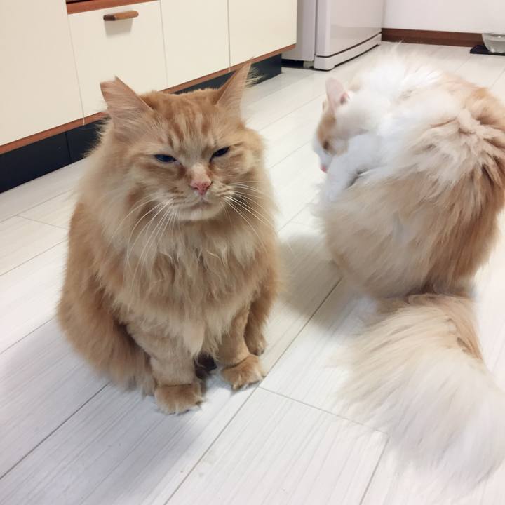 E4cd16eb cc75 45cd 9d5d 5b98efc5afb4