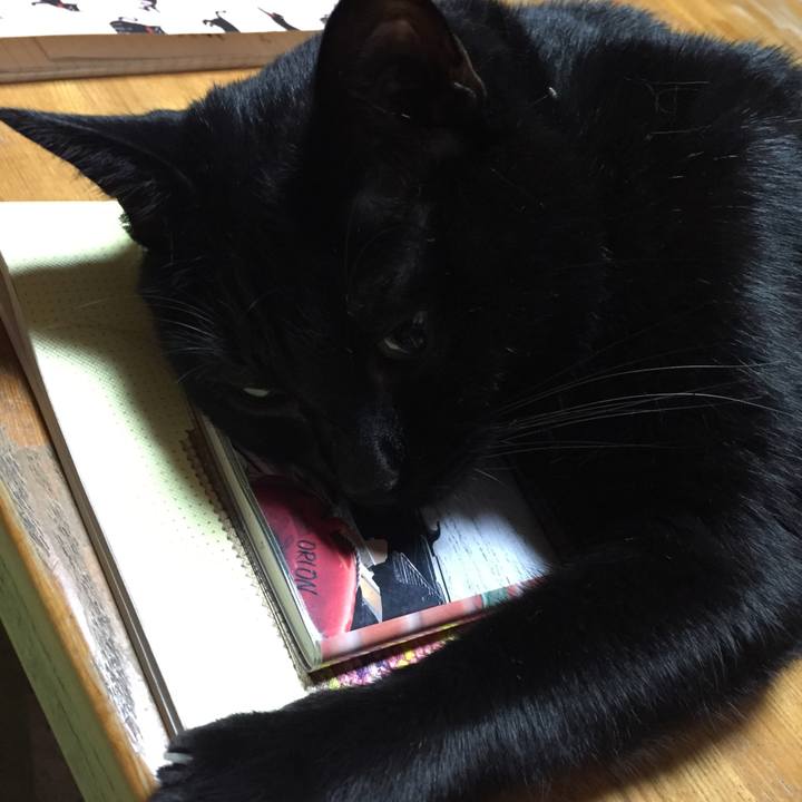 E4cdb4d5 5c4e 4517 9aa8 201b2bd1f531