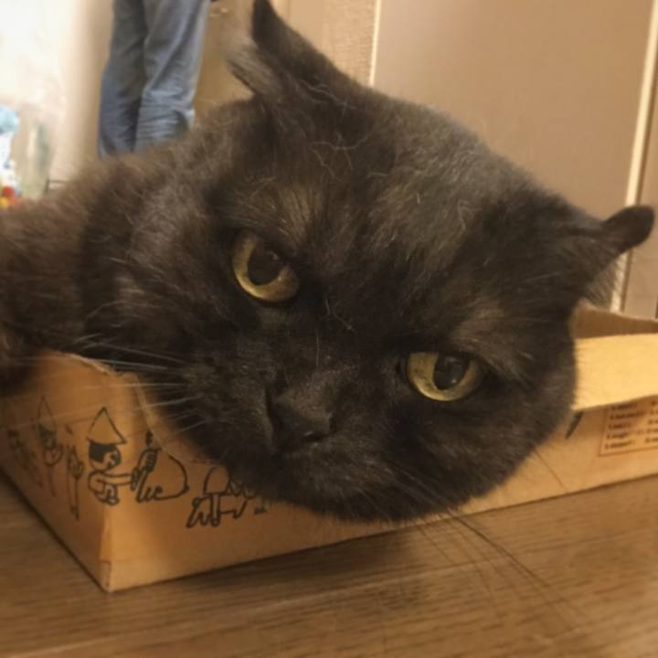 E4ce2650 68fc 4831 b853 1868d5a822f2