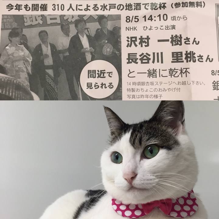 E4ce37fb 8dda 43fb a9c0 0d702ea78842