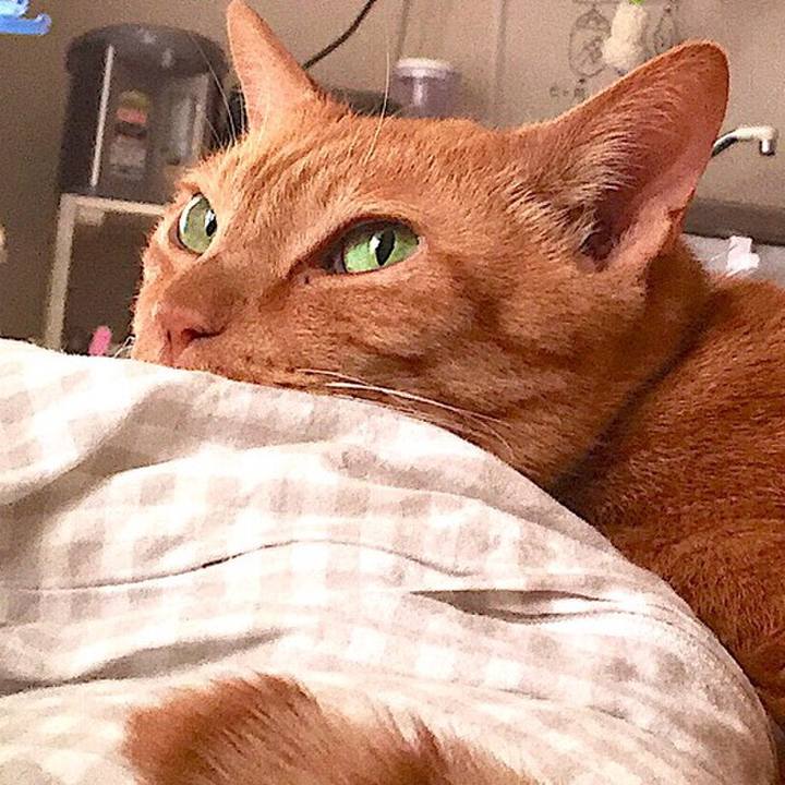 E4ce442f b46b 4b77 ad45 512d2d34349e