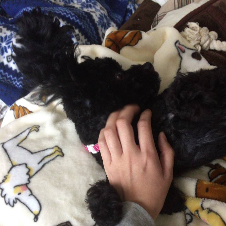 E4ce6344 fa45 4c1b 995f a13bf23af732