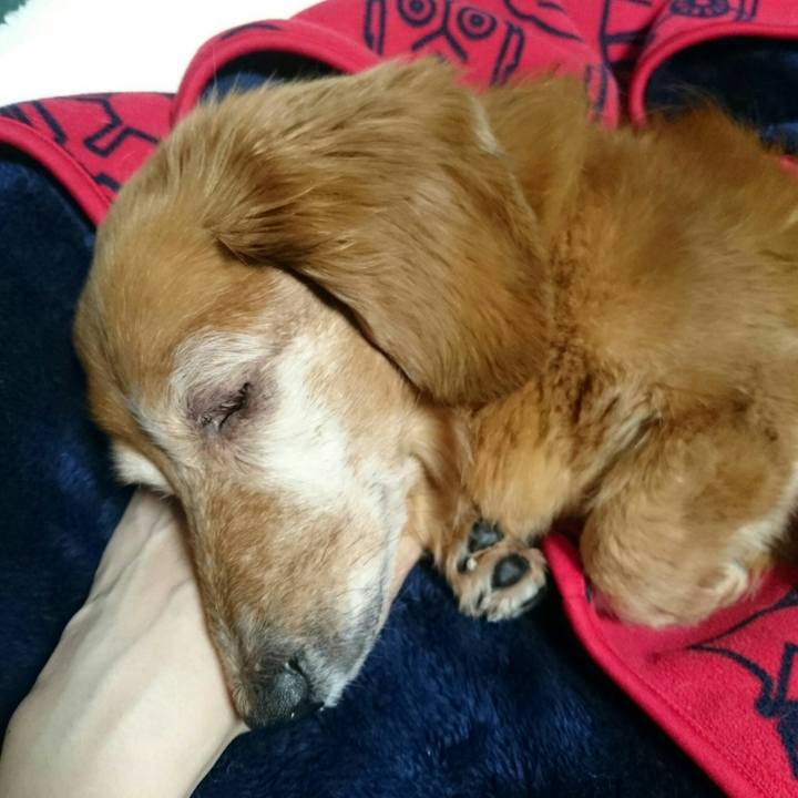 E4ce6f42 7b6d 40b5 a75e 93e1cd22463d