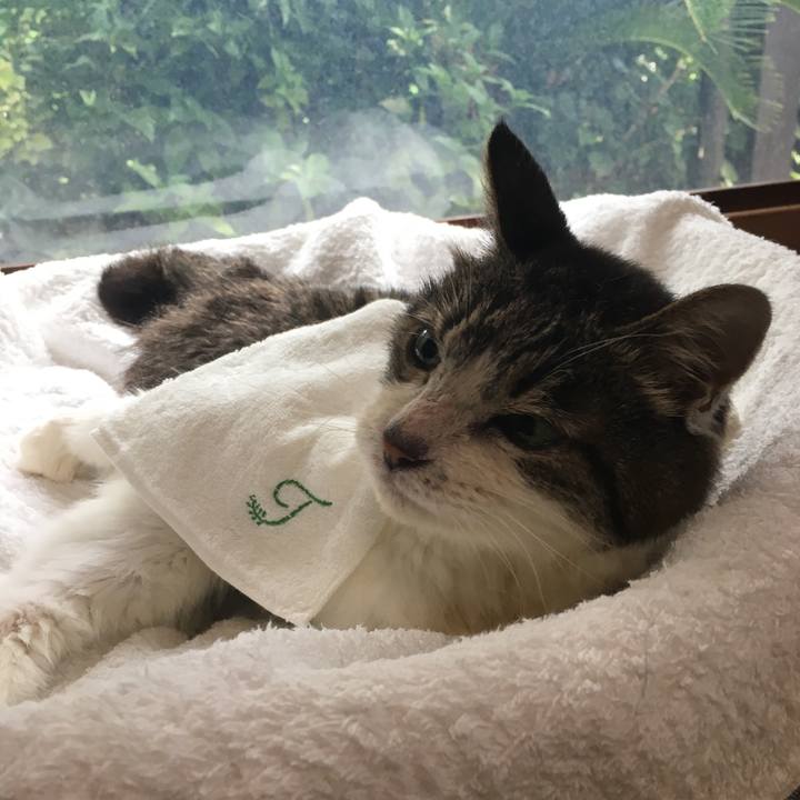 E4ce9318 3ff1 4d69 91ca 027f1fd70516