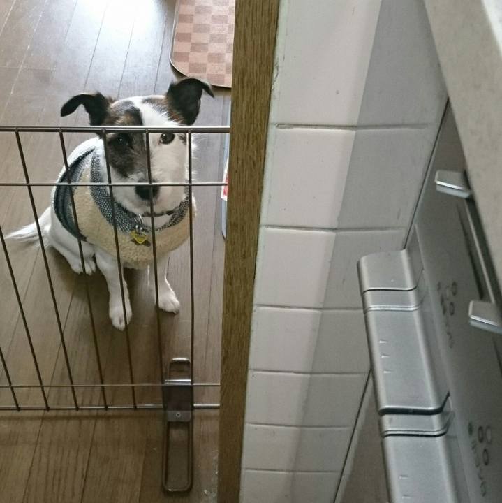 E4ce9e0f caca 45be bbfc b414c3cb63d7