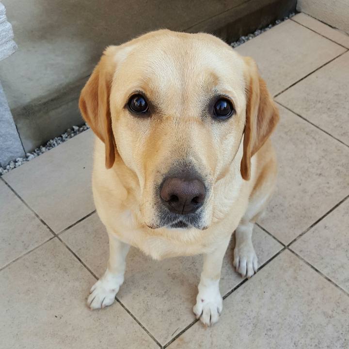 E4cef220 d6d8 455b b635 f00e5fac4e7a