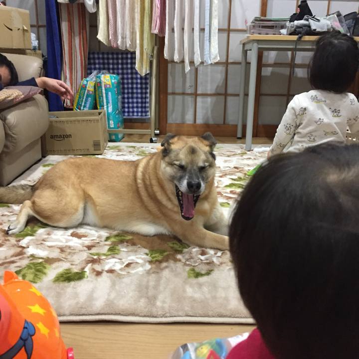 E4cf1fde 660d 46a5 95ce 63bd48e71987