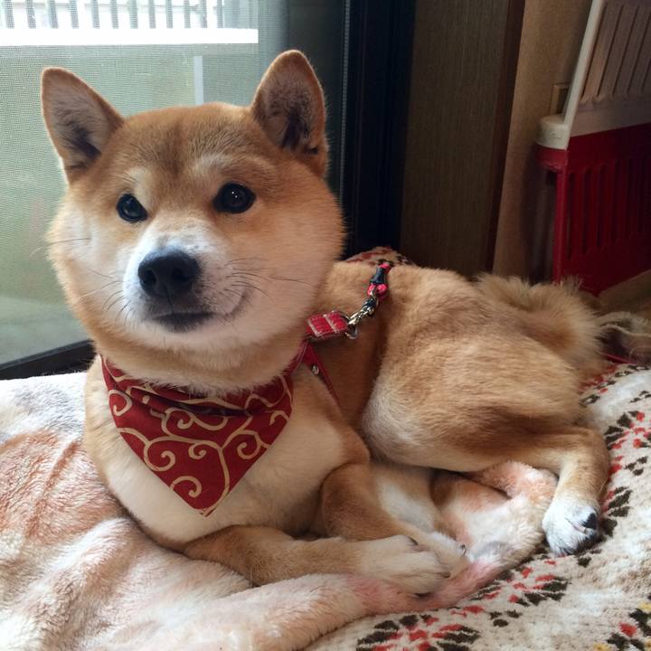 E4cf2cc2 3370 49b9 99b6 b90d58ef8131